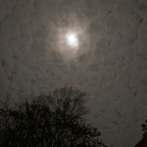 Meet your Posher, Abigail